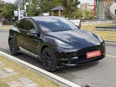 Tesla Model Y Facelift Long Range All-Wheel Drive - ფოტო 3