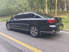 Volkswagen Magotan PHEV GTE Luxury - ფოტო 8
