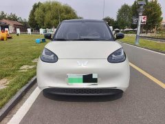 Wuling Binguo 333km Joy Edition - ფოტო 2