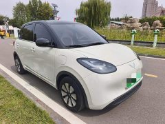 Wuling Binguo 333km Joy Edition - ფოტო 3