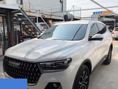 Haval H6 National Trend Edition 1.5T Automatic Urban Version - photo 1