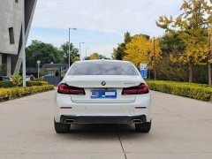 BMW 5 Series 530Li Luxury M Sport Package - ფოტო 13