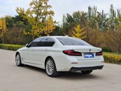 BMW 5 Series 530Li Luxury M Sport Package - ფოტო 14