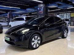 Tesla Model Y Rear-Wheel Drive - ფოტო 1