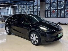 Tesla Model Y Rear-Wheel Drive - ფოტო 9