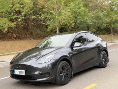 Tesla Model Y Rear-Wheel Drive - ფოტო 1
