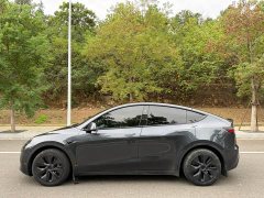 Tesla Model Y Rear-Wheel Drive - ფოტო 4