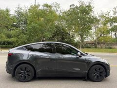 Tesla Model Y Rear-Wheel Drive - ფოტო 8