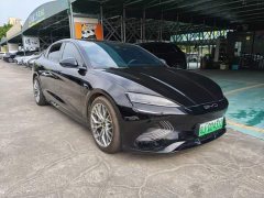 BYD Seal 700km Long Range Rear-Wheel Drive - ფოტო 3