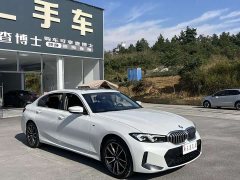 BMW 3 Series 320Li M Sport Package - photo 2