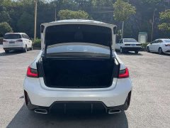 BMW 3 Series 320Li M Sport Package - photo 8