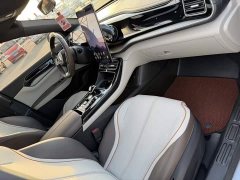 BYD Qin Plus Champion Edition DM-i 120KM Exceed - ფოტო 9