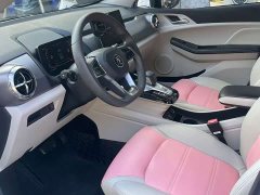 BYD Yuan Pro 401KM Luxury - ფოტო 5