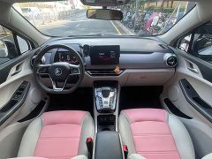 BYD Yuan Pro 401KM Luxury - ფოტო 6
