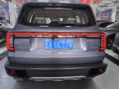 Great Wall Dachshund 1.5T DCT Border Collie Edition - ფოტო 5
