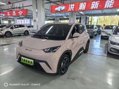 BYD Seagull Flying Edition - ფოტო 1