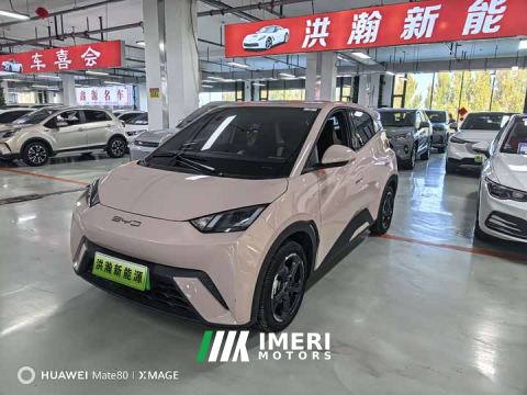 2023 BYD Seagull Flying Edition