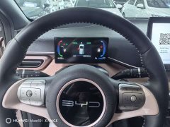 BYD Seagull Flying Edition - ფოტო 10