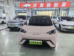 BYD Seagull Flying Edition - ფოტო 2