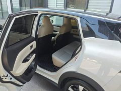 Wuling Binguo PLUS 401km 5-Seater - ფოტო 6
