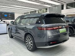 Denza N9 Premium Edition - ფოტო 7