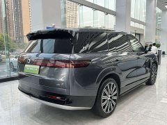 Denza N9 Premium Edition - ფოტო 8