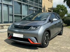 BYD Dolphin 405km Freedom Edition - photo 1