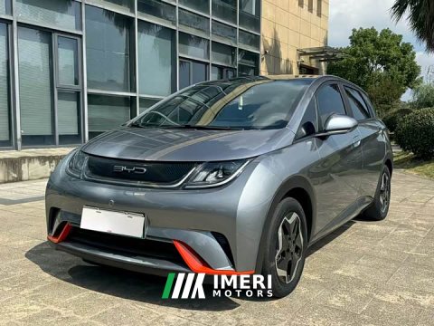 2022 BYD Dolphin 405km Freedom Edition - ავტომობილი ჩინეთიდან