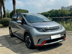 BYD Dolphin 405km Freedom Edition - photo 3