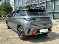 BYD Dolphin 405km Freedom Edition - photo 8