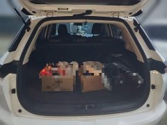 Changan CS55 PLUS Blue Whale 1.5T DCT Luxury - ფოტო 20