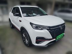 Changan CS55 PLUS Blue Whale 1.5T DCT Luxury - ფოტო 3