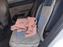 BYD Song Plus New Energy Champion Edition DM-i 110KM Flagship - ფოტო 13