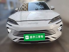 BYD Song Plus New Energy Champion Edition DM-i 110KM Flagship - ფოტო 2