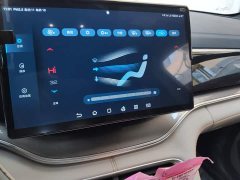 BYD Song Plus New Energy Champion Edition DM-i 110KM Flagship - ფოტო 9
