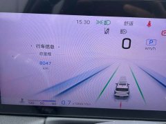 FAW Red Flag HS3 1.5T Shanwei Edition - ფოტო 8