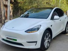 Tesla Model Y Long Range All-Wheel Drive 3D7 - ფოტო 1
