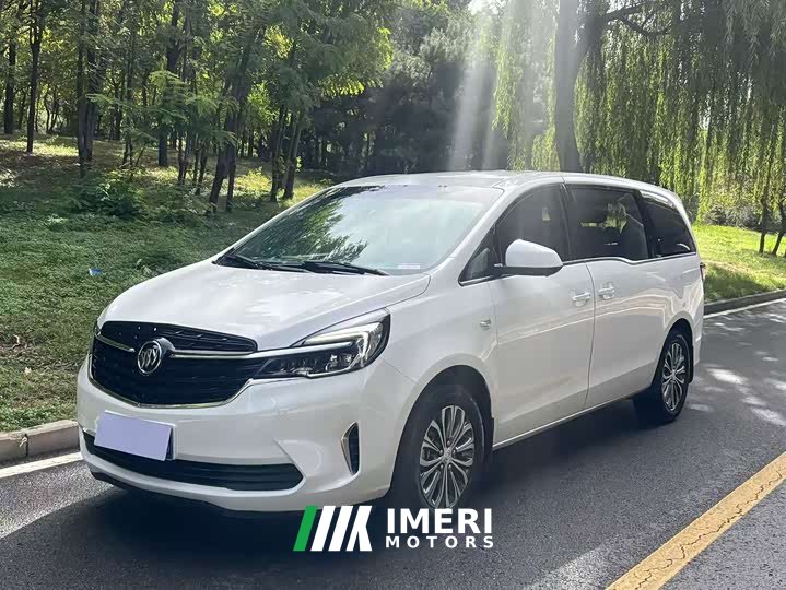 Buick GL8 Land Business Class 652T Comfort - car from China