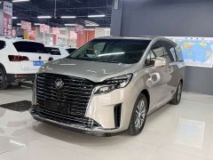 Buick GL8 ES Luxe Enjoyment Edition - ფოტო 1
