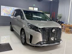 Buick GL8 ES Luxe Enjoyment Edition - ფოტო 3