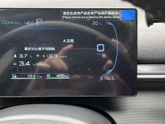 BYD Destroyer 05 Glory Edition DM-i 55KM Luxury - ფოტო 12