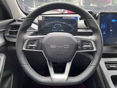 BYD Destroyer 05 Glory Edition DM-i 55KM Luxury - ფოტო 15