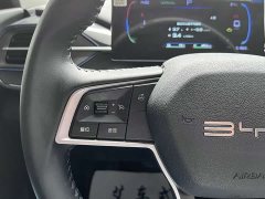 BYD Destroyer 05 Glory Edition DM-i 55KM Luxury - ფოტო 20