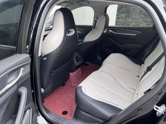 BYD Destroyer 05 Glory Edition DM-i 55KM Luxury - ფოტო 8