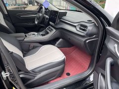 BYD Destroyer 05 Glory Edition DM-i 55KM Luxury - ფოტო 9