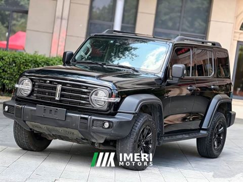 2021 Tank 300 Off-Road Edition 2.0T Conqueror - ავტომობილი ჩინეთიდან