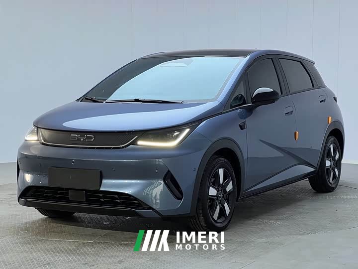 BYD Dolphin Smart Drive 410km Fashion Edition