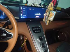 Ora Lightning Cat 555km Luxury Edition - ფოტო 9
