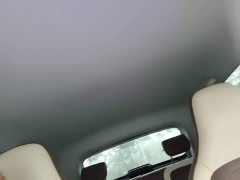 Wuling Binguo 410km Lingxi Premium Edition - ფოტო 17