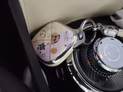 Wuling Binguo 410km Lingxi Premium Edition - ფოტო 8